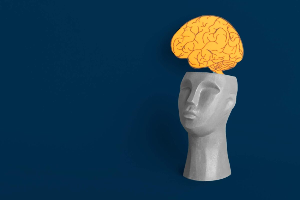 Entendiendo la teoría del mindset y su impacto en el éxito profesional